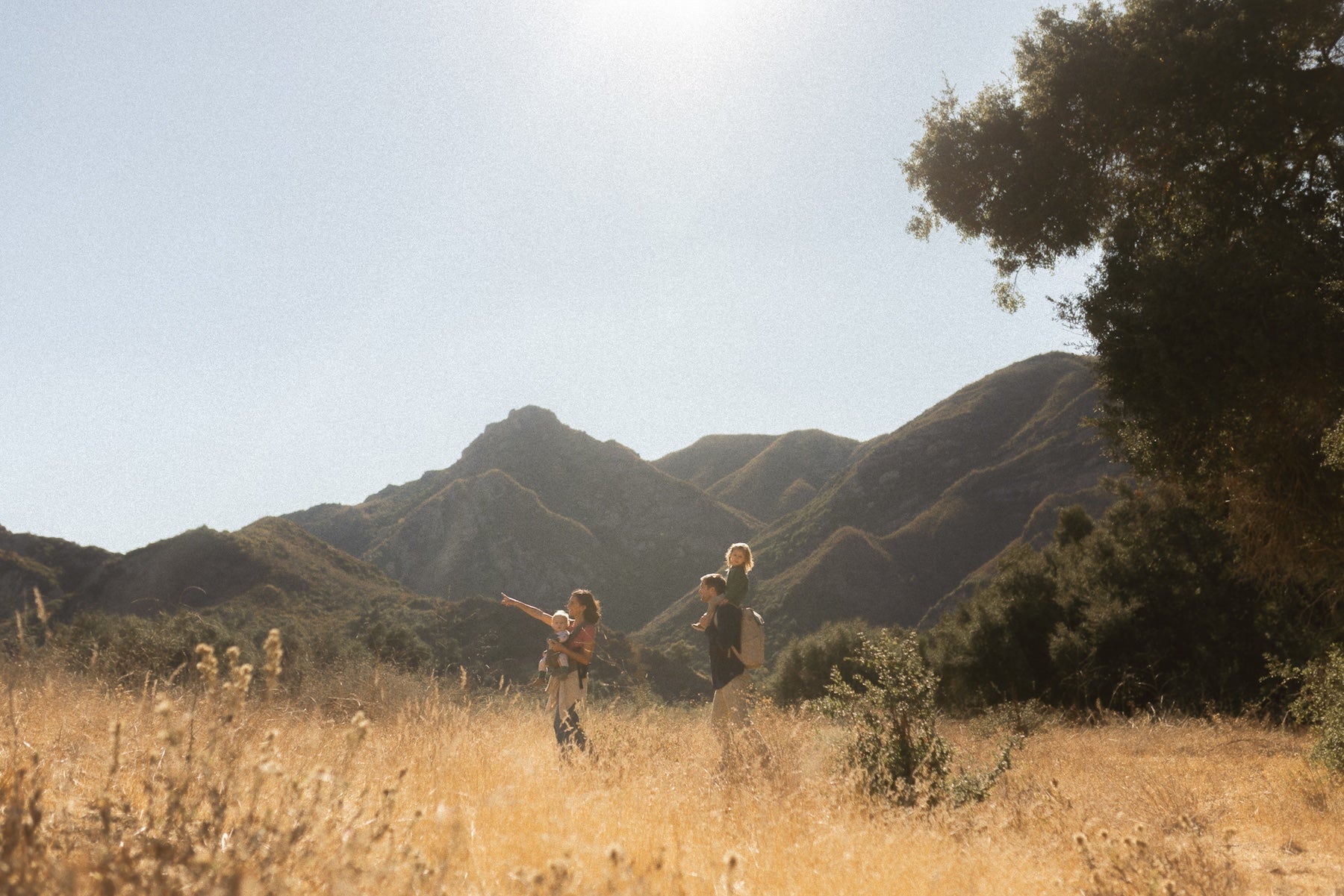 Mom pointing to distance wearing infant in carrier. Dad wearing backpack with toddler on his shoulders. Outdoor location with grass and mountains in background.