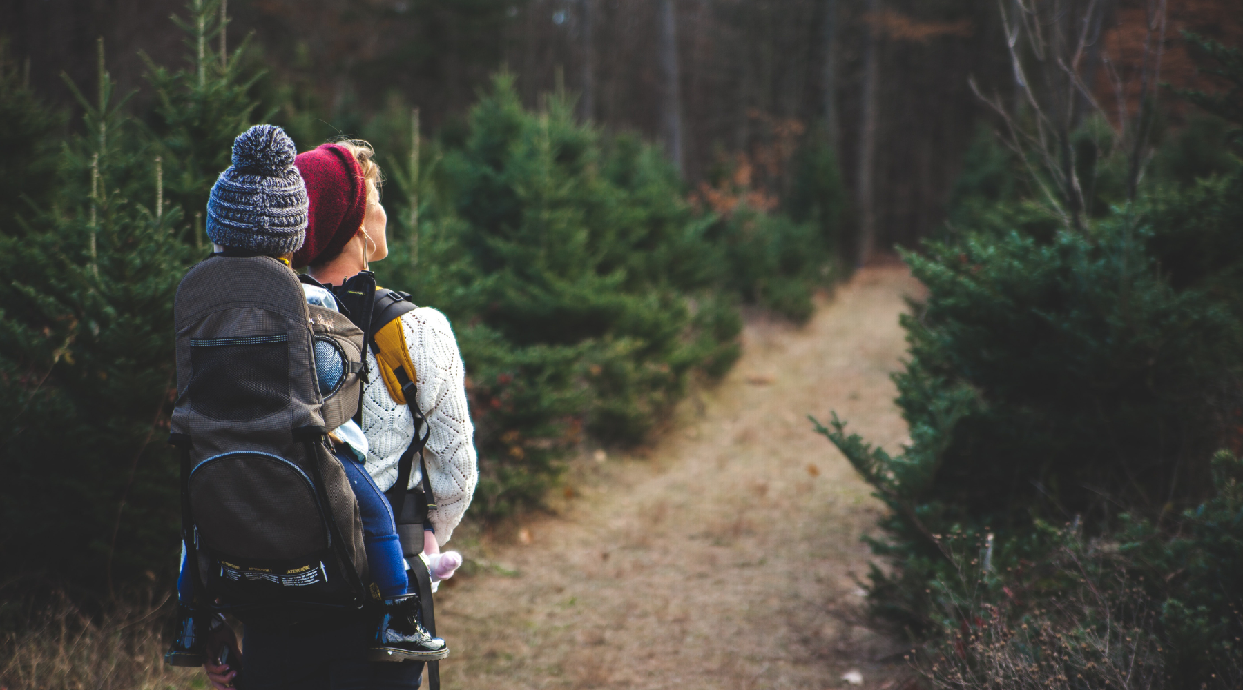 Hiking with Toddlers: 4 Tips to Make it a Success