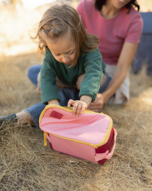Insulated Cooler Bag / Candyland