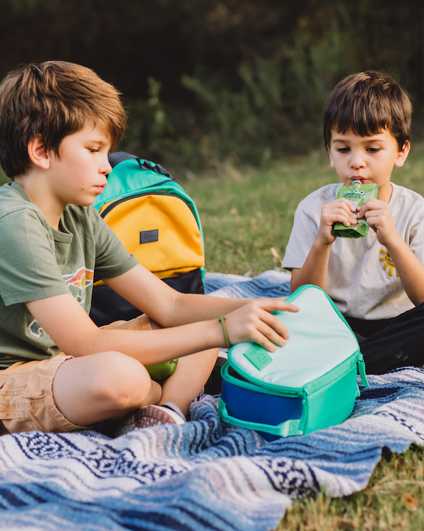 Insulated Cooler Bag / Cool Breeze