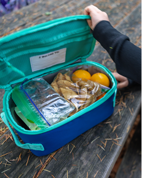 Insulated Cooler Bag / Cool Breeze